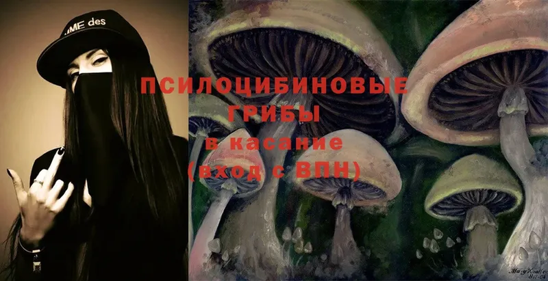 сколько стоит  Краснообск  Галлюциногенные грибы Psilocybe 